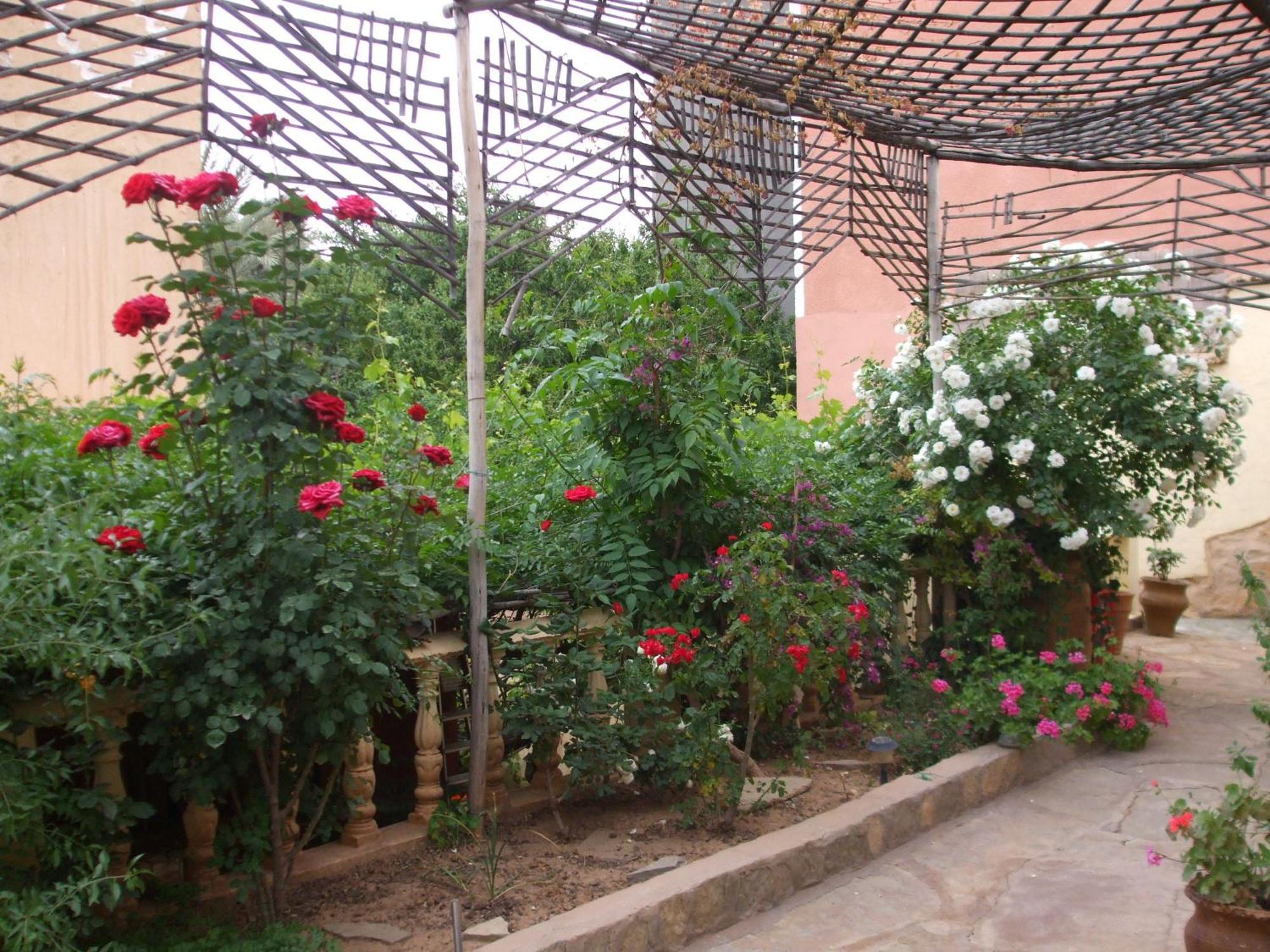 Palmeraie Guest House Tinghir Dış mekan fotoğraf